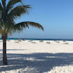 Meet your Posher, Sandy